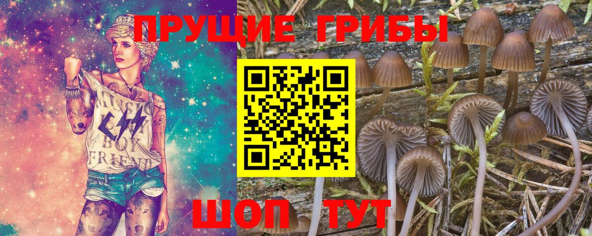 сколько стоит  Псилоцибиновые грибы Psilocybine cubensis  Галлюциногенные грибы прущие грибы  Вход с VPN  Грозный 