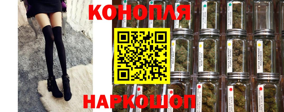 МАРИХУАНА ГИДРОПОН Грозный